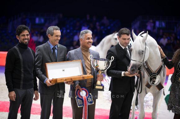 شنغهاي إي ايه (دبليو اتش جستس x سليمة إي ايه) مربط عجمان – الإمارات