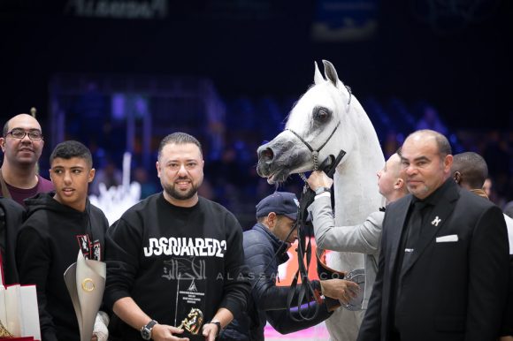 ادهم صقر (امبريال مادوري xاميرة صقر) مربط الفريدة – مصر