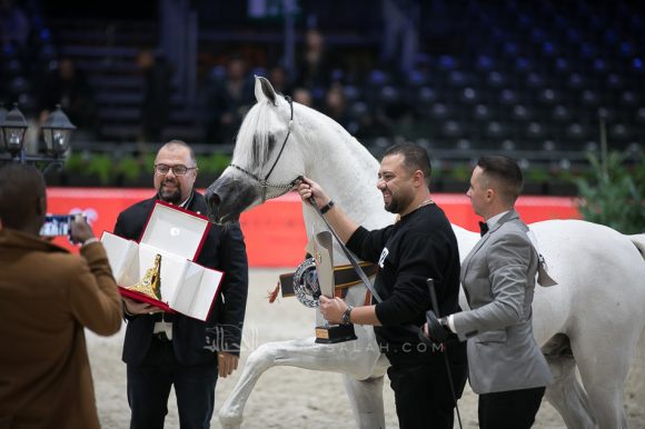 ادهم صقر (امبريال مادوري xاميرة صقر) مربط الفريدة – مصر