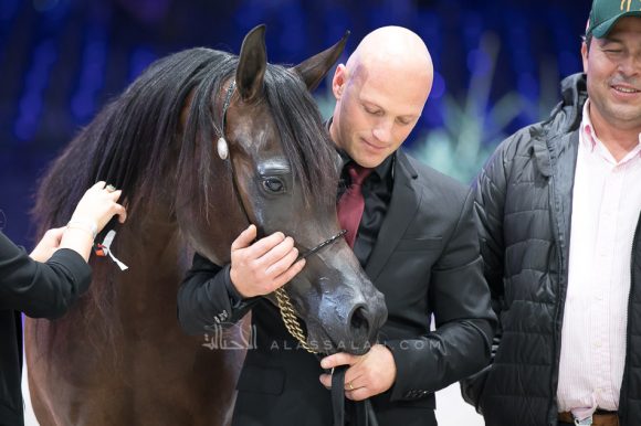 ايرالدا (اميرالد جي x انيزاجا) مربط الشراع- الإمارات