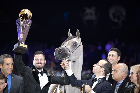 الجمره (ع ج بورتوفينو x ايه في ايه ماريا) مربط الشيخ