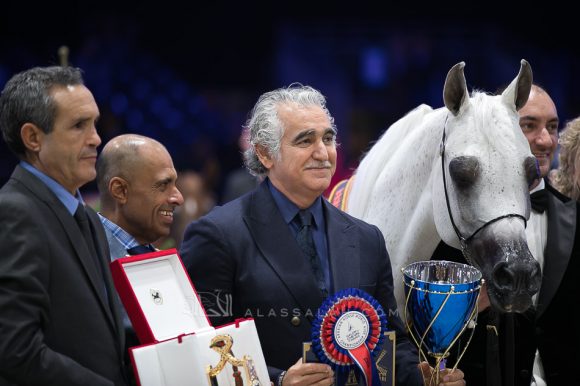 ميساء الناصر (سينان الريان x زنوبيا الناصر)مربط الناصر – قطر