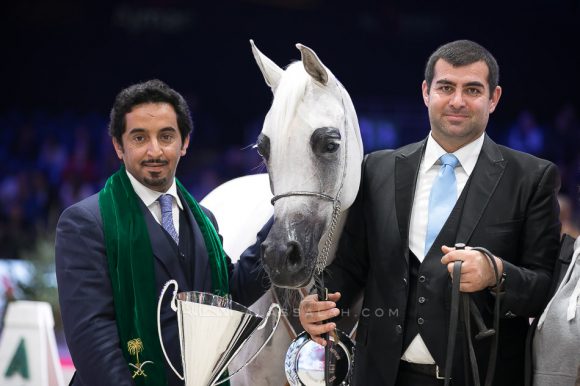 نوفة النايفات (عجمان مونسيون x ايجليردج باشيونيتا) مربط ناف – السعودية