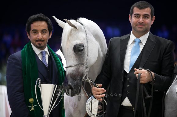 نوفة النايفات (عجمان مونسيون x ايجليردج باشيونيتا) مربط ناف – السعودية