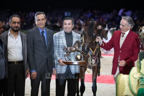 رهان الشحانية (مروان الشقب x جواهر الشحانية) مربط الشحانية – قطر