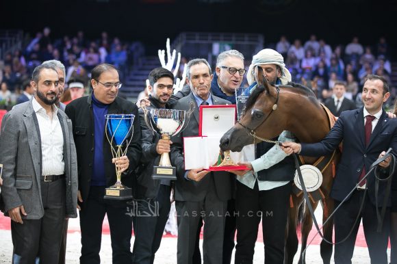 دي مزيان (اف ايه الرشيم x دي مزايا) مربط دبي – الإمارات