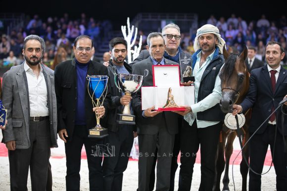 دي مزيان (اف ايه الرشيم x دي مزايا) مربط دبي – الإمارات