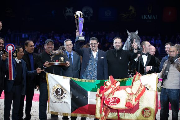 إي كي اس فراج (ابن فريد x إي كي اس بنت حلوة) مربط الخشاب – الكويت