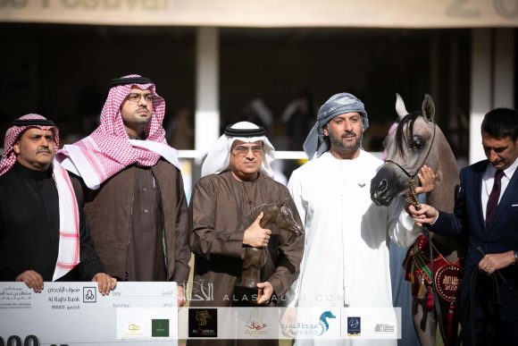 دي فريهان (دي سراج   xايلي فلامينكا) مربط دبي – الإمارات.