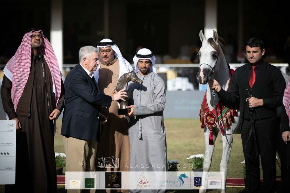 ع ج سبران (ع ج كفو x ايه جي ايه كابريس)  مربط عجمان – الإمارات.