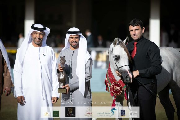 ع ج سبران (ع ج كفو x ايه جي ايه كابريس)  مربط عجمان – الإمارات.