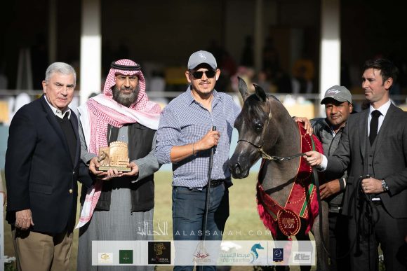 قيصر التنهاة (اكساليبور إي ايه x ستيفانا دبليو) مربط التنهاة – السعودية.