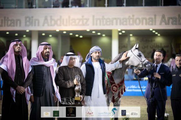 دي نايل (اف ايه الرشيم x دي نوال)  مربط الشيخ سعيد بن مكتوم بن جمعة آل مكتوم – الإمارات.