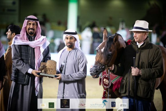 الفضة:ادميرال (اميرالد جبي x هنايا)  مربط عجمان – الإمارات.