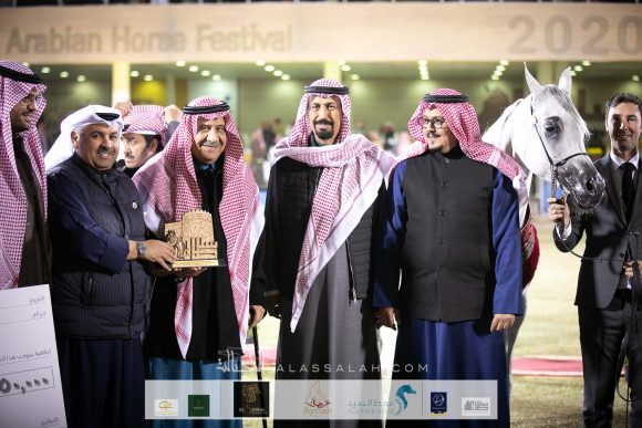 مليكة الملوك (مملوك x اصالة الهالة) مربط الخشاب – الكويت.