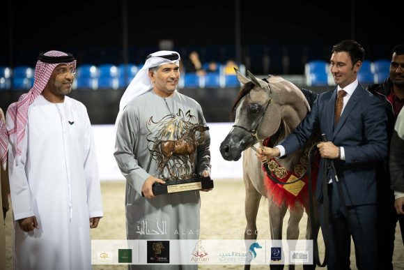 الأريام بنفسج (دومنيك ام x الاريام بسمة) إسطبلات الأريام.
