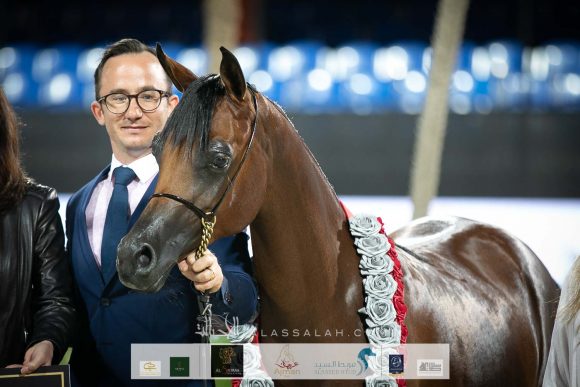 ورد البداير (دي سراج x جوري البداير) مربط البداير.
