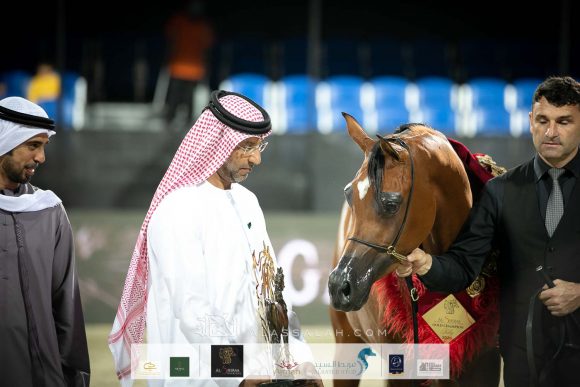 ع ج سماره (ع ج مردان x سما ايه ام) مربط عجمان.
