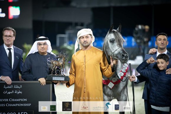 دي نواهل (اف ايه الرشيم x دي نور) مربط دبي.
