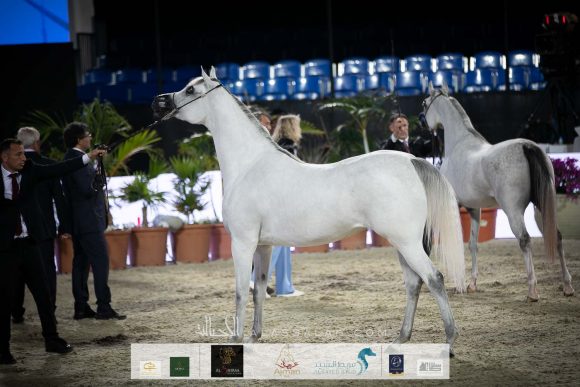 إي اس شيخة (اس ام ايه ماجيك وان x ماجيستي) الشيخ عبدالله بن ماجد القاسمي.
