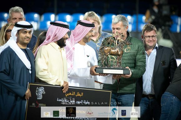 اكساجون او اس (سيكلون او اس x ستراستيا او اس) مربط اوستروف.
