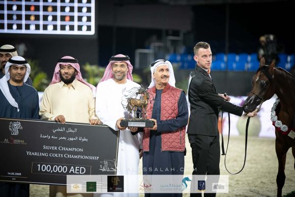 غالي الهواجر (دومنيك ام x غالية الهواجر) مربط الهواجر.
