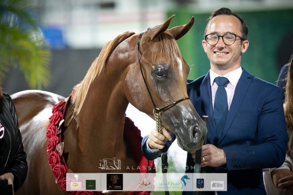 ارجوان البداير (ع ج مرزان x اليزندرا البداير) مربط البداير.
