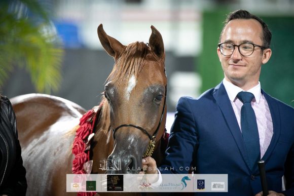 ارجوان البداير (ع ج مرزان x اليزندرا البداير) مربط البداير.
