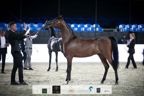 متباهي الهواجر (اف ايه الرشيم x زد تي مغرومي) مربط الهواجر.
