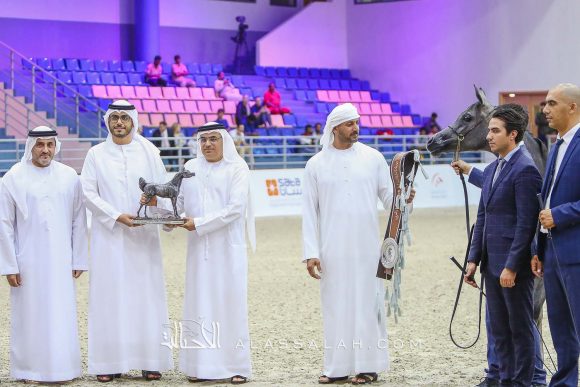 دي جورية (دي سراج x دي نوال) مربط دبي – الإمارات.