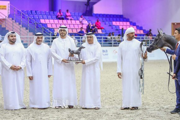 دي جورية (دي سراج x دي نوال) مربط دبي – الإمارات.