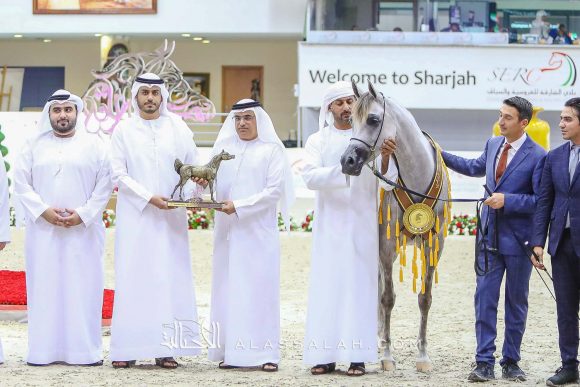 دي غرام (اف ايه الرشيم x اف تي شيلا) مربط دبي – الإمارات.