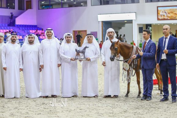 دي سفار  (اف ايه الرشيم x دي سفانا) مربط دبي – الإمارات.