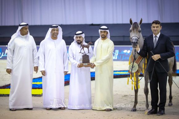 ع ج البراقة 5 (اف ايه الرشيم x فيليسيا ار ال سي) مربط عجمان.