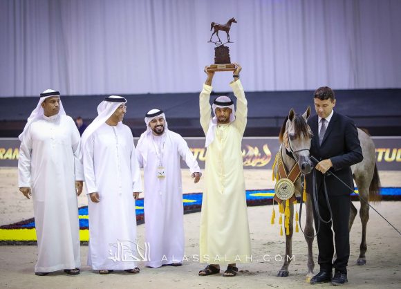 ع ج البراقة 5 (اف ايه الرشيم x فيليسيا ار ال سي) مربط عجمان.