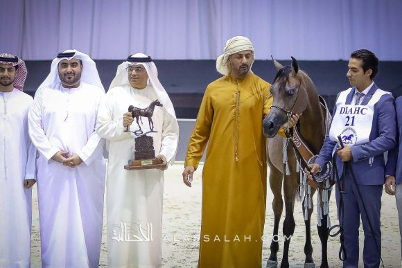 دي سيرين (دي سراج x دي راعفة) مربط دبي.