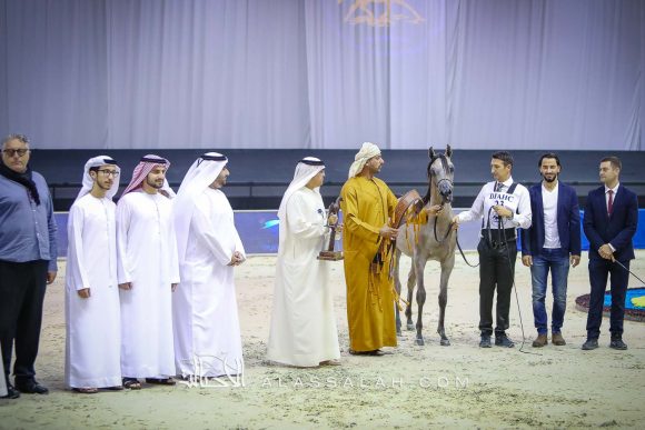 دي فريهان (دي سراج x إيلي فلامنكا) مربط دبي.