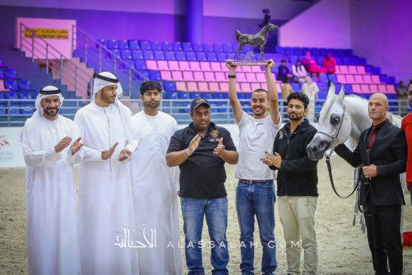 مهادير الجمال (نادر الجمال x ما هيتي الجمال) مربط الشراع – الإمارات.