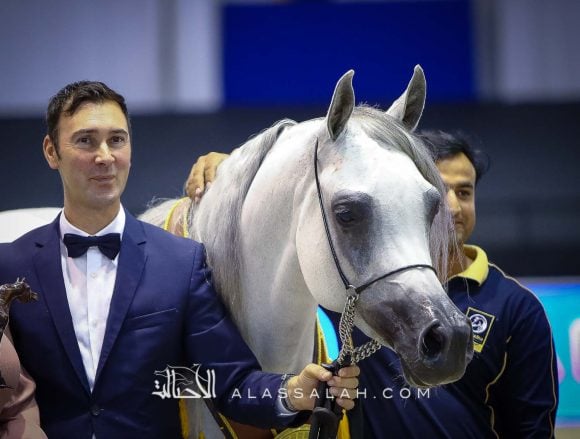 مزن البداير (اس ام  أي ماجيك وان x ماتهاري) مربط البداير