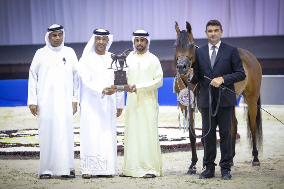 ع ج تريم (ايمرالد جي x ايسبينلا) مربط عجمان