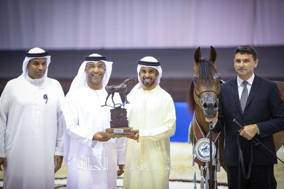 ع ج تريم (ايمرالد جي x ايسبينلا) مربط عجمان