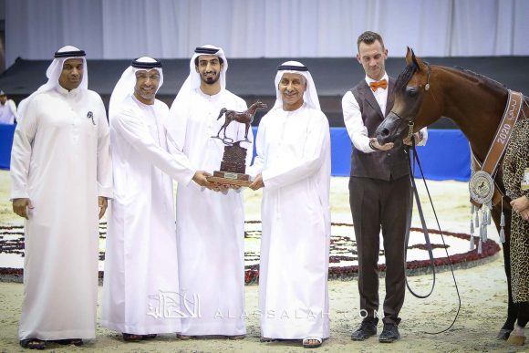 متباهي الهواجر (اف ايه الرشيم x زد تي مارغومي) مربط الهواجر.