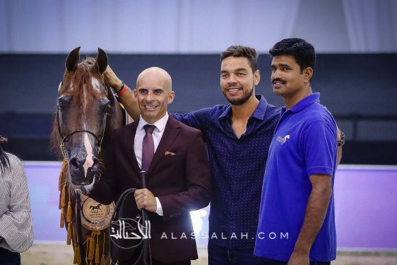 ايدن سي (انزوx سيلكن سابل) مربط السيد