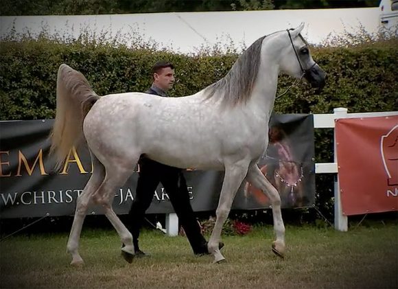 Screen Shot 2020-07-26 at 10.29.17 PM