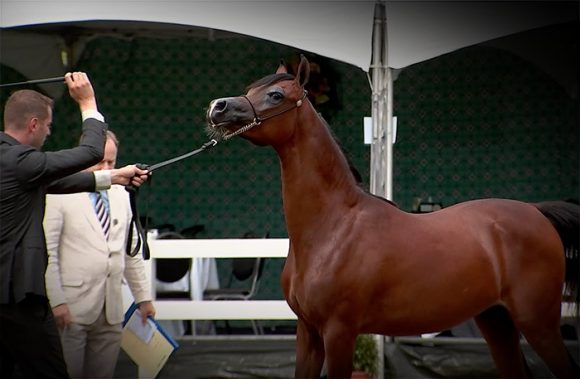 Screen Shot 2020-07-26 at 10.37.36 PM