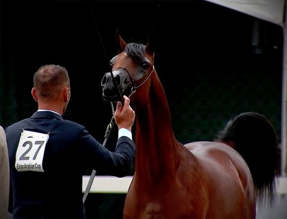 Screen Shot 2020-07-26 at 10.41.25 PM