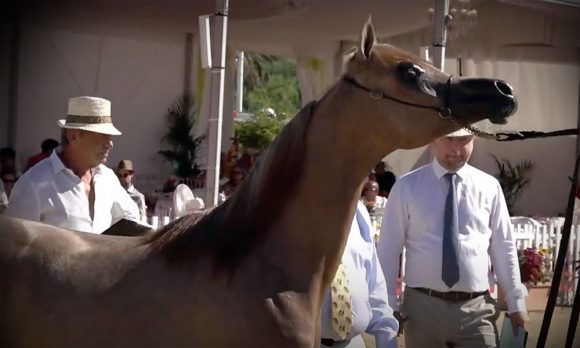 Screenshot 2020-07-05 21.26.40