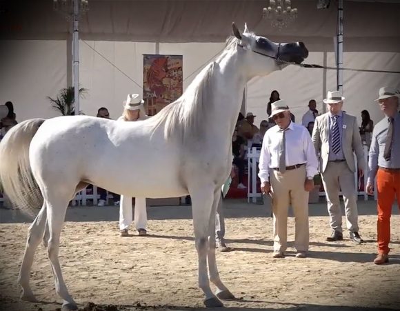 Screenshot 2020-07-05 21.30.16