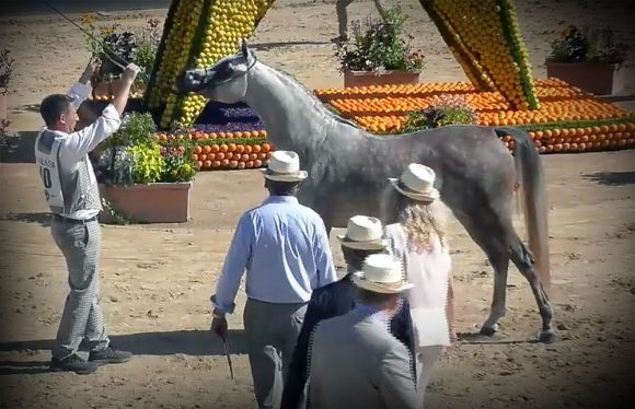 Screenshot 2020-07-05 21.31.05