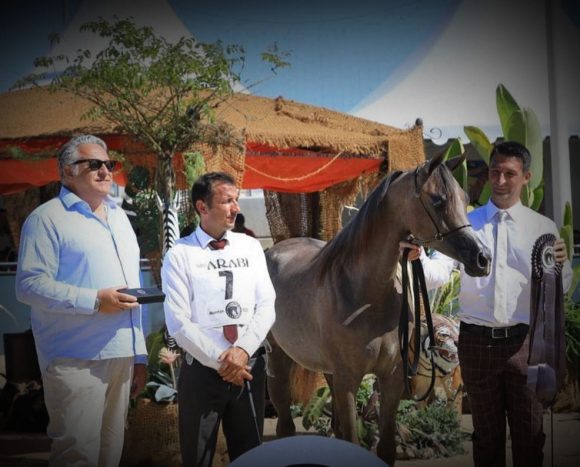 Screenshot 2020-07-05 21.53.02